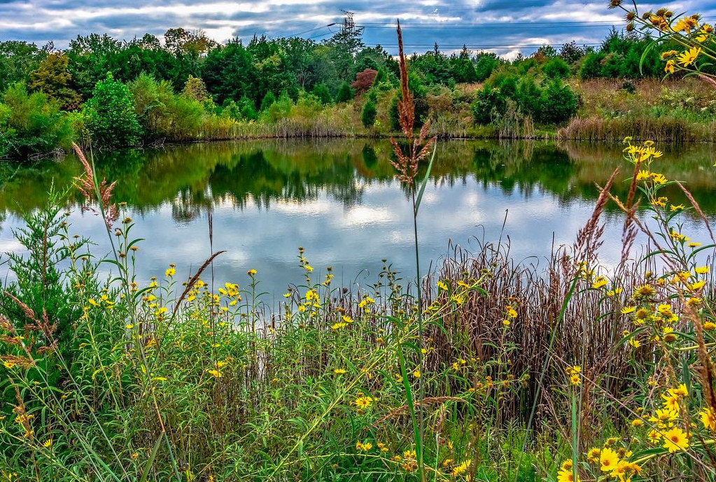 Turkey Run Park Duck Pond Turkey Run Park The Parklands of… Flickr