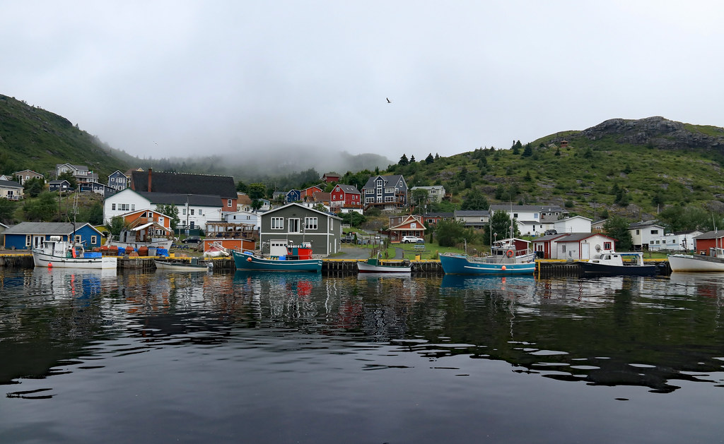 Petty Harbour Petty HarbourMaddox Cove is a fishing town … Flickr