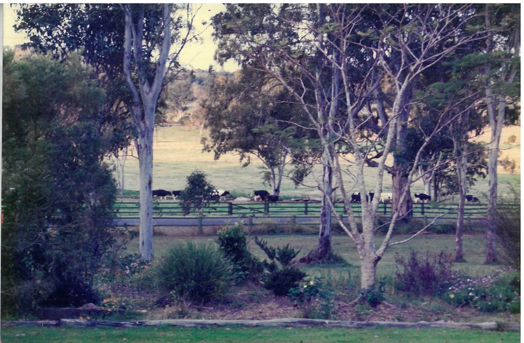 Paths to Infinity Gleneagle (Queensland) Louie Neen Flickr