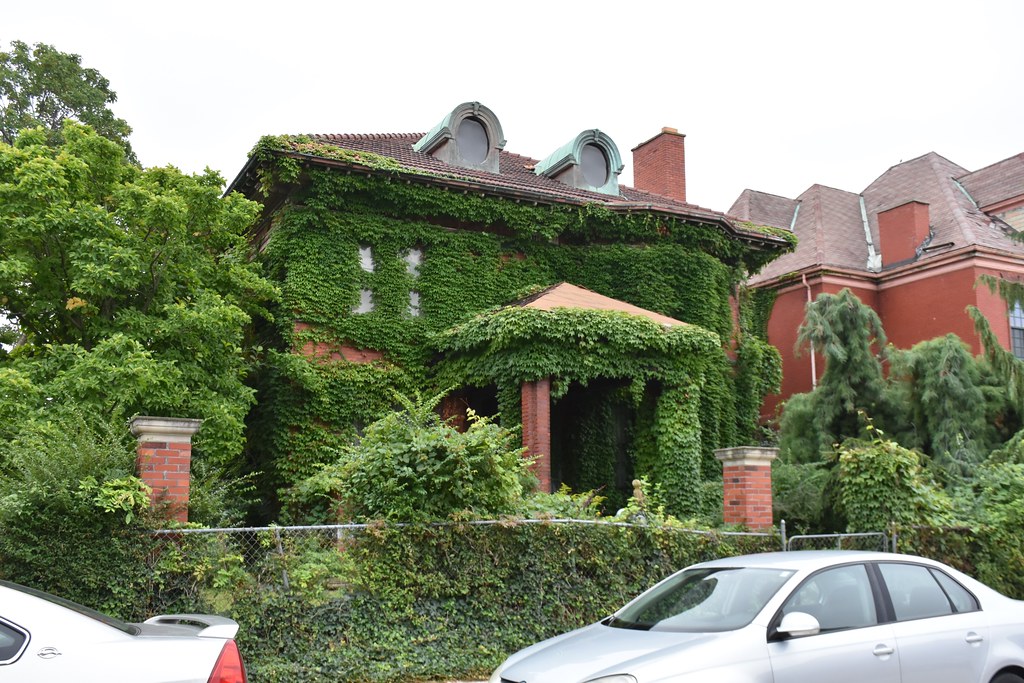 Detroit Erskine Street 266 September 7, 2023 (256) Flickr