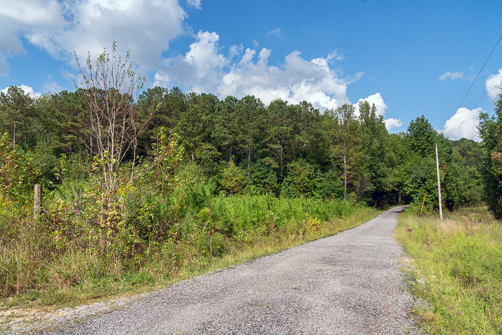 DeKalb CR 120 County Road 120 in DeKalb County, Alabama. Richard