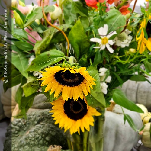 Baker Creek Heirloom Expo Marc Langsam Flickr