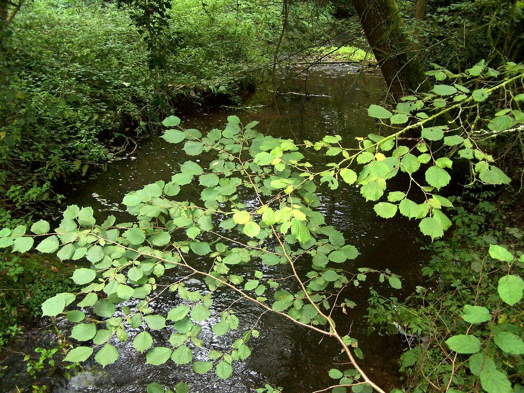 Old Mill Pond Still waters run deep. No one else walked ov… Flickr