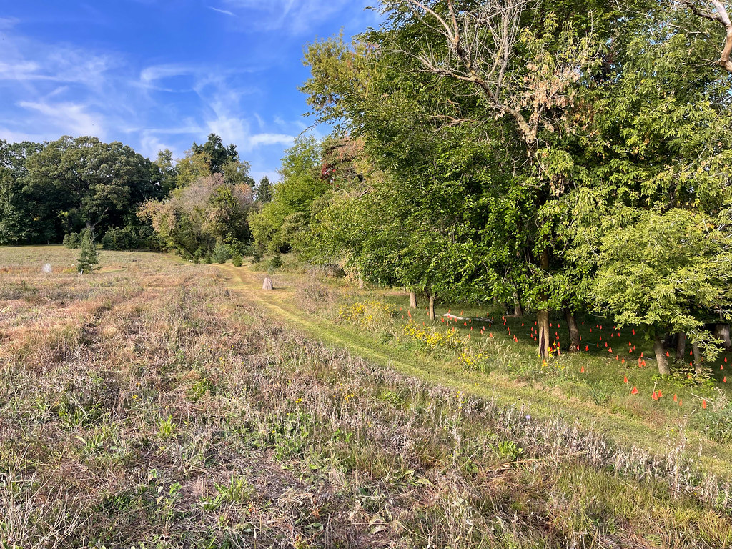 IMG_6803a1 John Blair Flickr