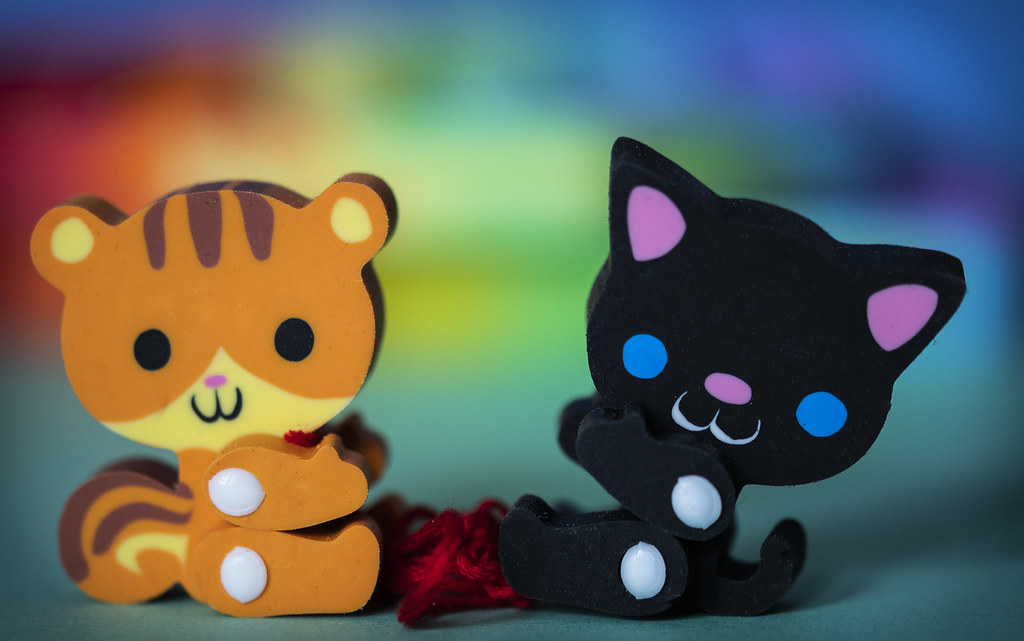 The 2 buddies These are the cutest smallest animal erasers… Flickr