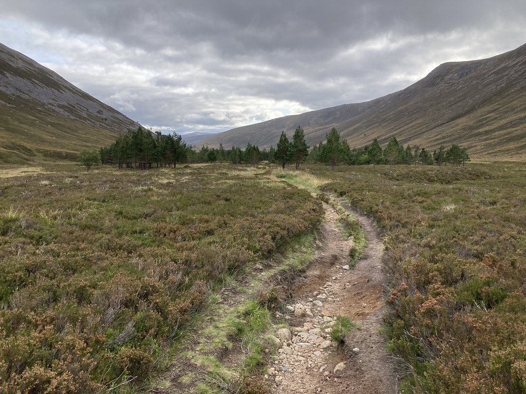 The Derry flats from the north, good to see the trees. Flickr