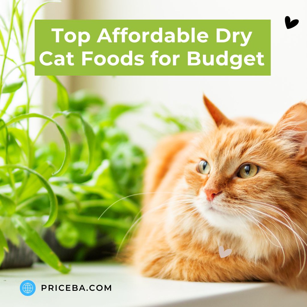 Top Affordable Dry Cat Foods for Budget 📌Each of these bu… Flickr