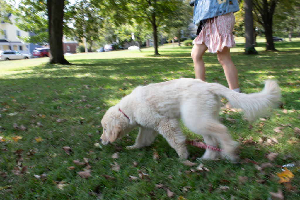 Thornburg_SIMG_6934_02Wk_DOF.jpg sally thornburg Flickr