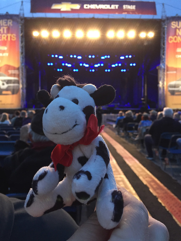 Elwood Blue Rodeo, the last show ever to be held at the ol… Flickr