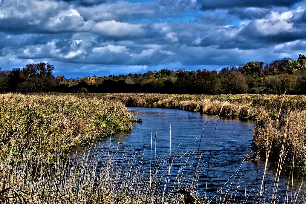 Wilson's Flats Janice Hindley Flickr
