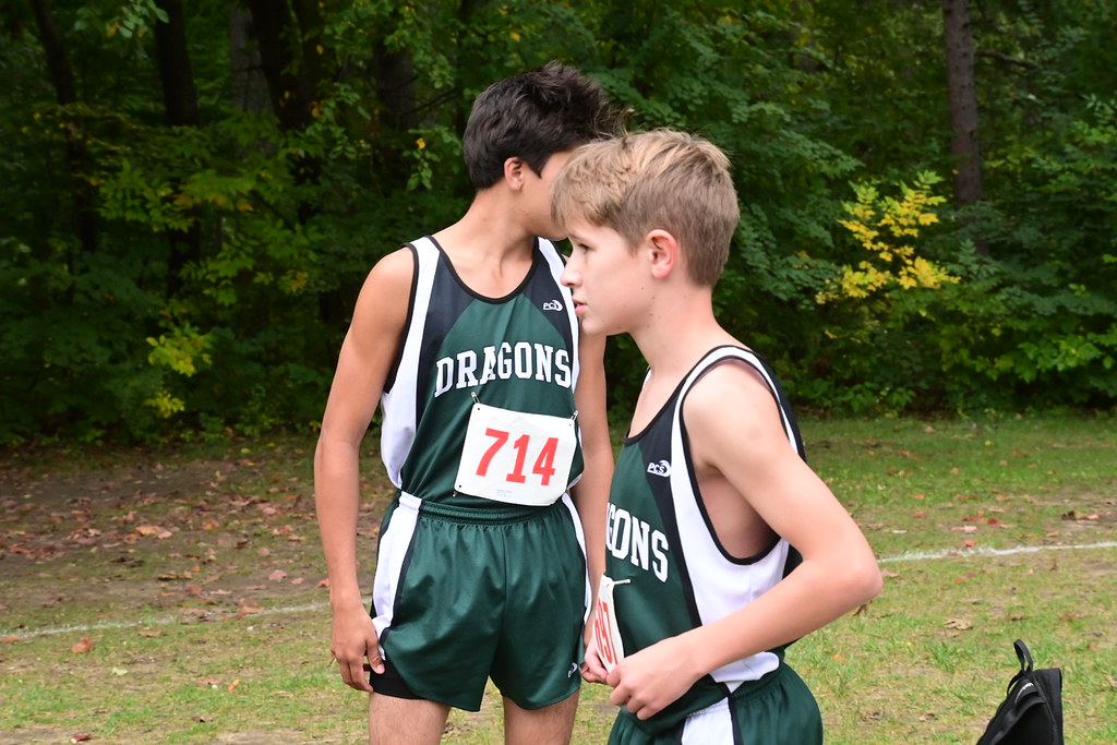 DSC_9052 Stanley Ford Flickr