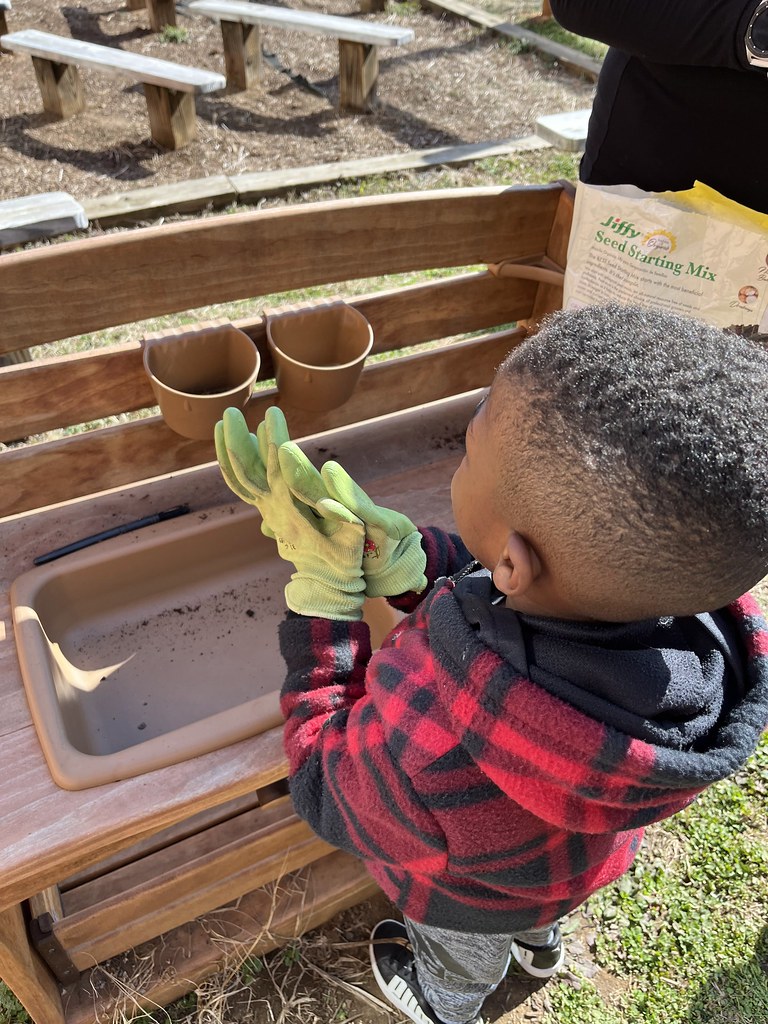 Garden Sprouts Garden Sprouts Downtown Greens Flickr