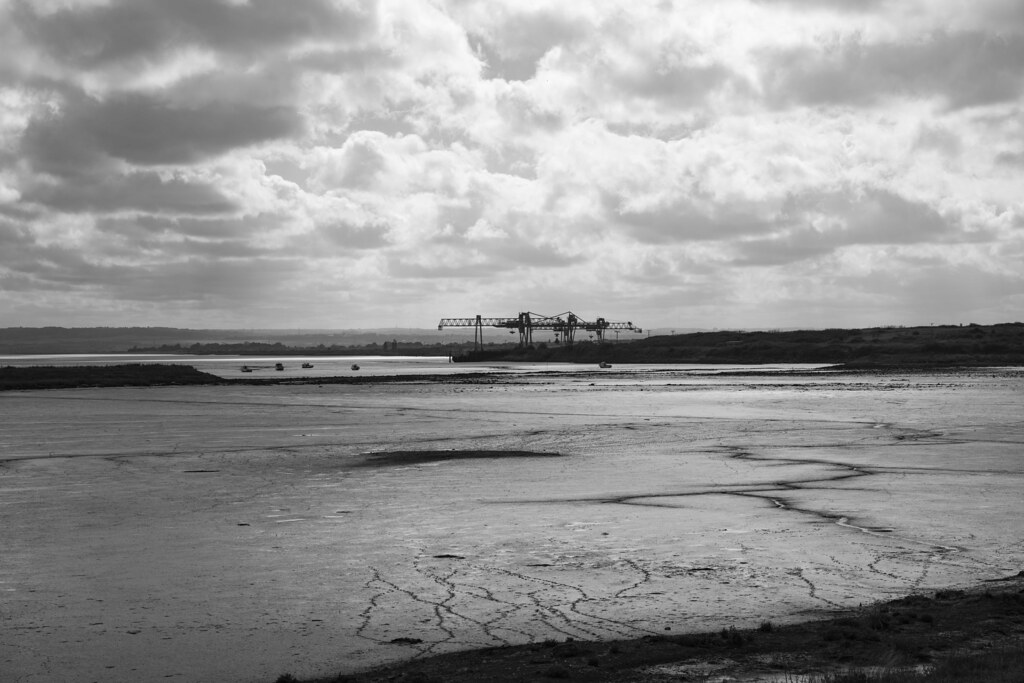 Stanford flats 1 Dave Walker Flickr