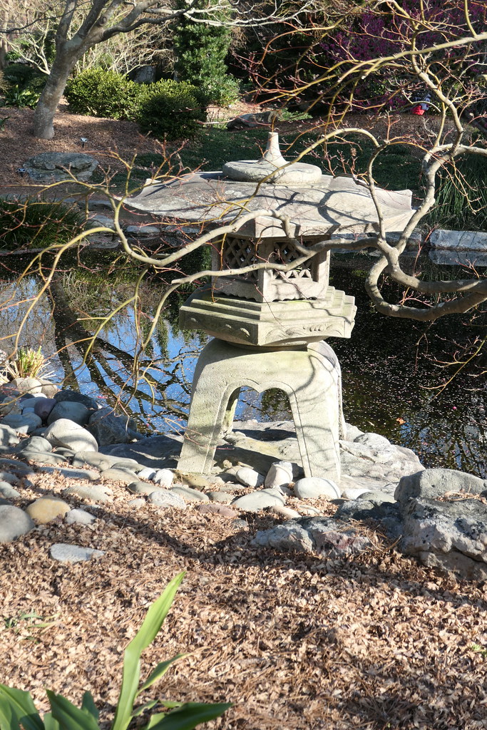 Norfolk Botanical Garden March 2021 Norfolk Virginia MisterQque