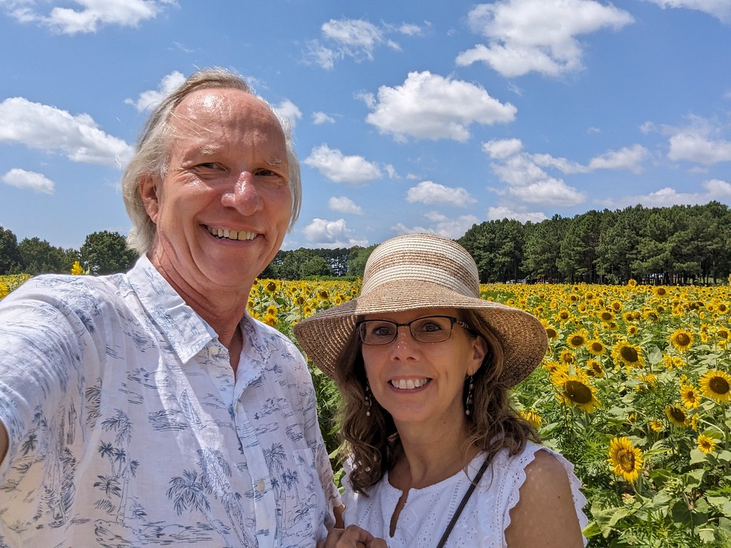 Sunflowers at Dix Park, Raleigh. tfjohnson Flickr