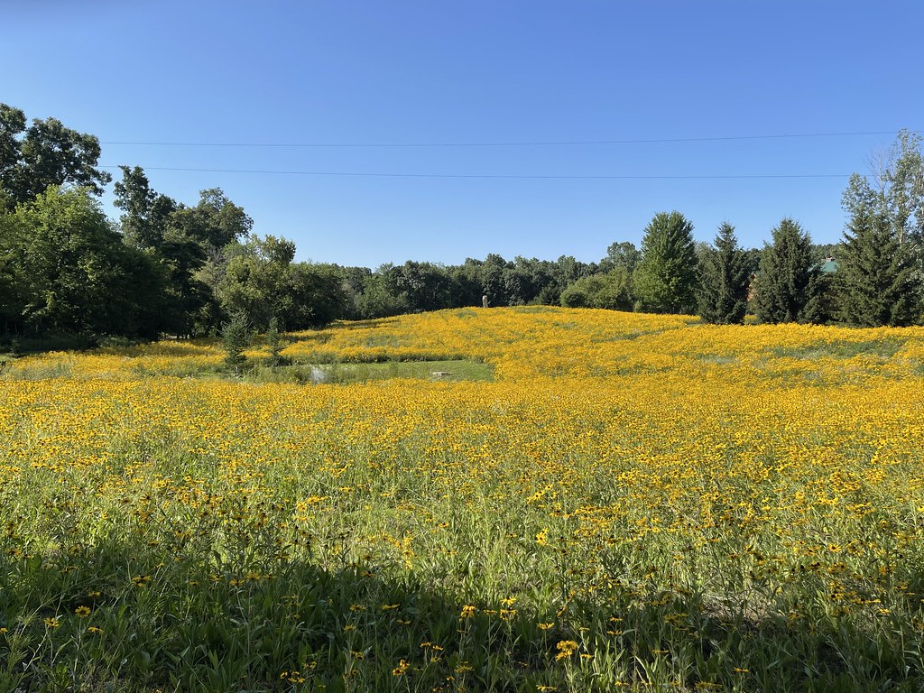 Untitled John Blair Flickr