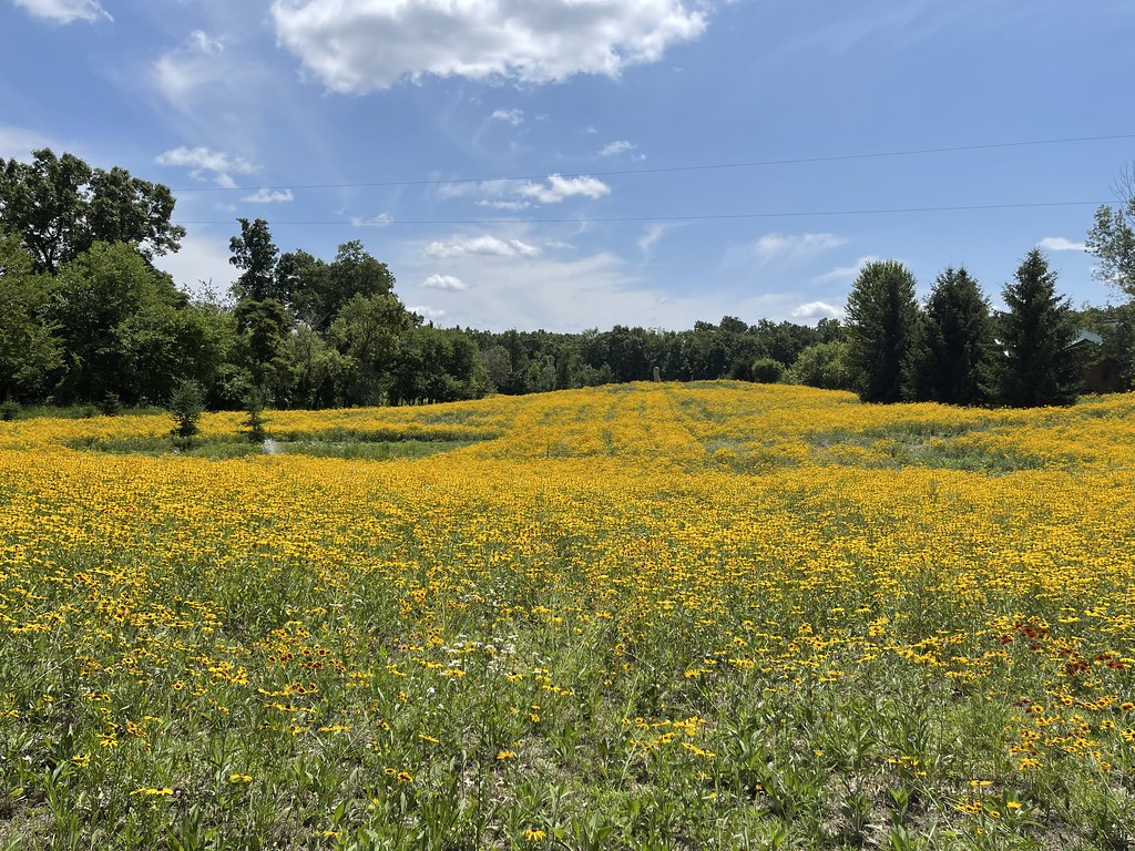 Untitled John Blair Flickr