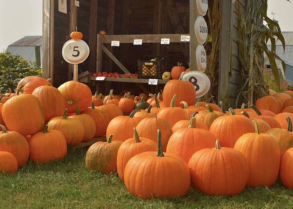 Corinna Farm stand on the Packard Road, Corinna, Maine Carl Rella