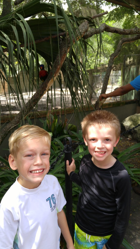 Lowry Park Zoo The boys visiting Lowry Park Zoo. (Photo ta… Flickr