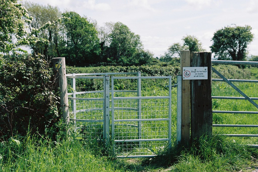 Rhuddlan Rhyl Walk 12 Peter Williams Flickr