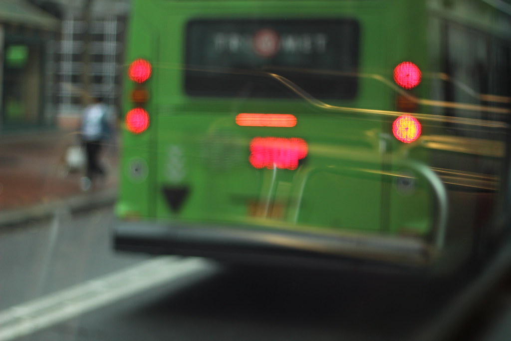 IMG_5953 Rose Long Flickr