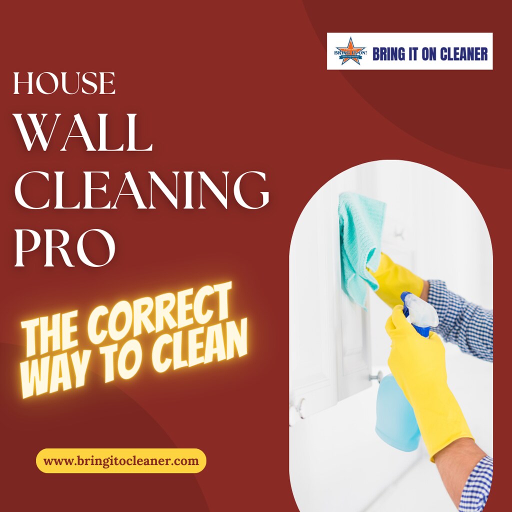 a Wall Cleaning Pro The Essential Guide to a Pri… Flickr