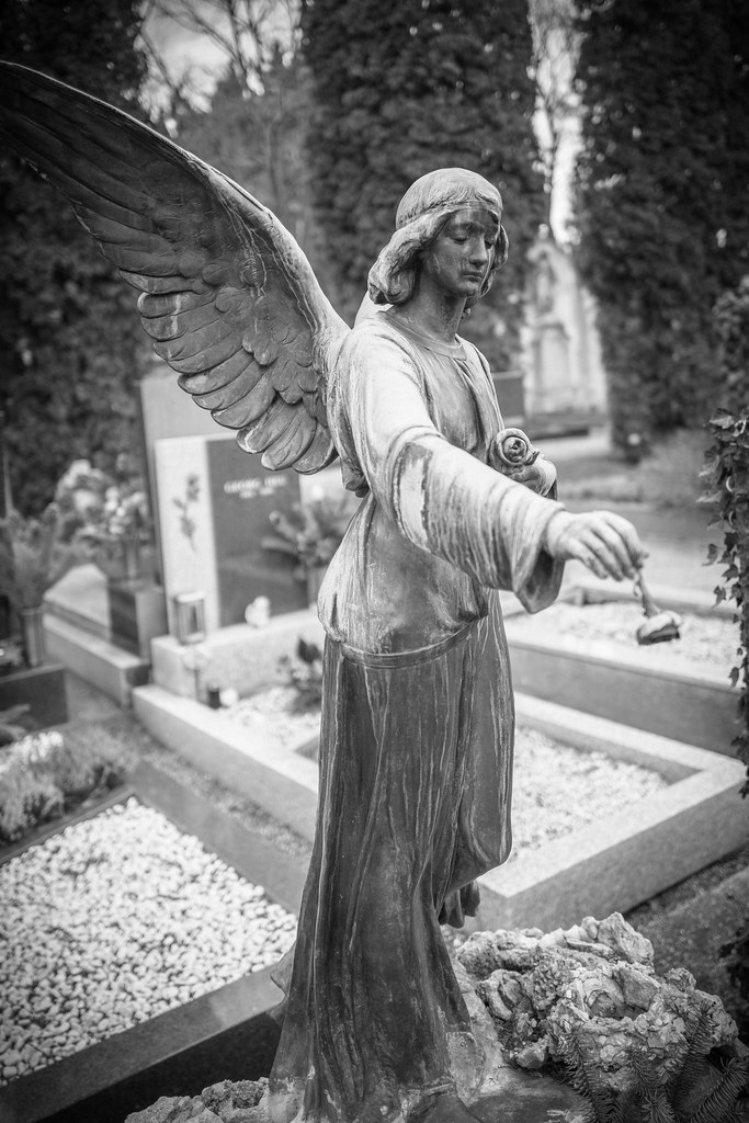 Angel of Hope C P Flickr