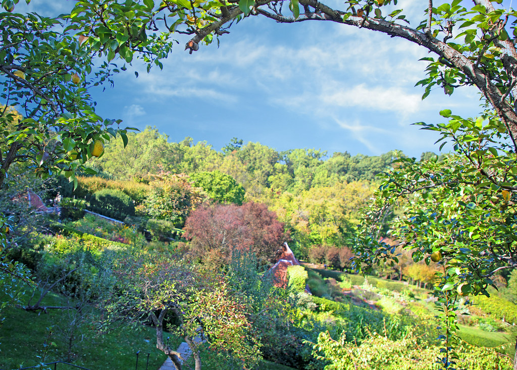 Dumbarton Gardens, Ellerslie Tract (historical), Washingto… Flickr