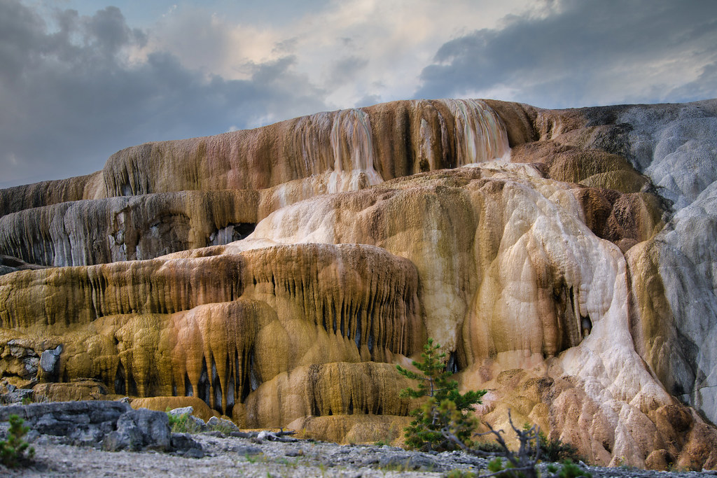 Minerva Terrace Minerva Terrace, located at Mammoth Hot Sp… Flickr