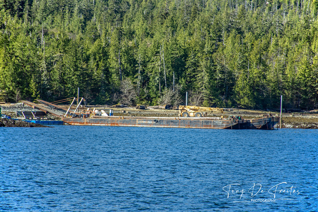 WARD COVE KETCHIKAN Views of Ward Cove, Alaska back in Apr… Tony D