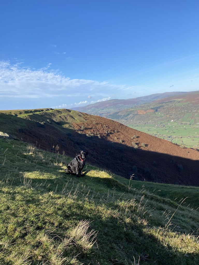 IMG_1051 Matthew French Flickr