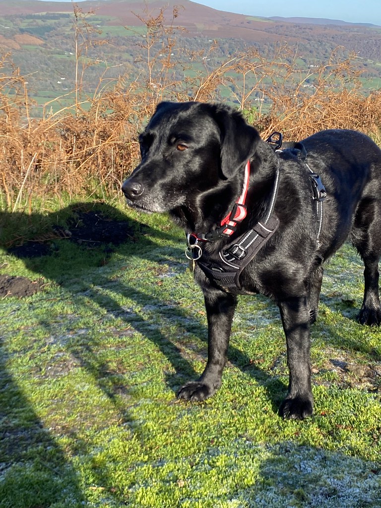 IMG_1045 Matthew French Flickr