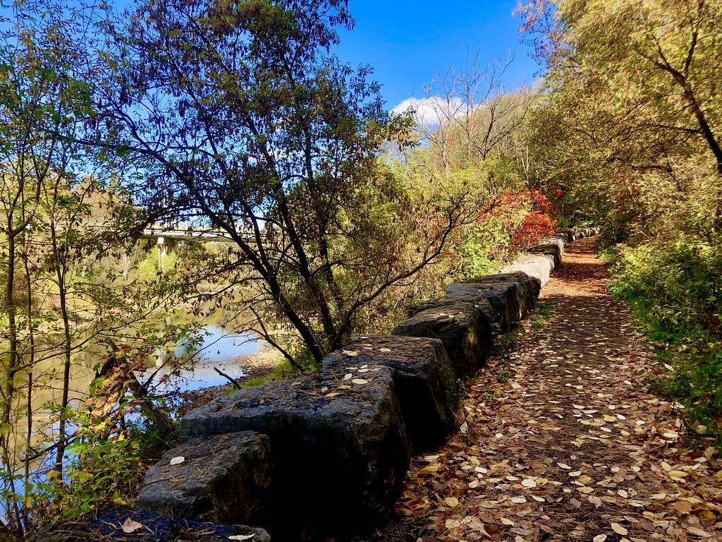 Up to Mary Street The path that goes from Pansy Patch Park… Flickr