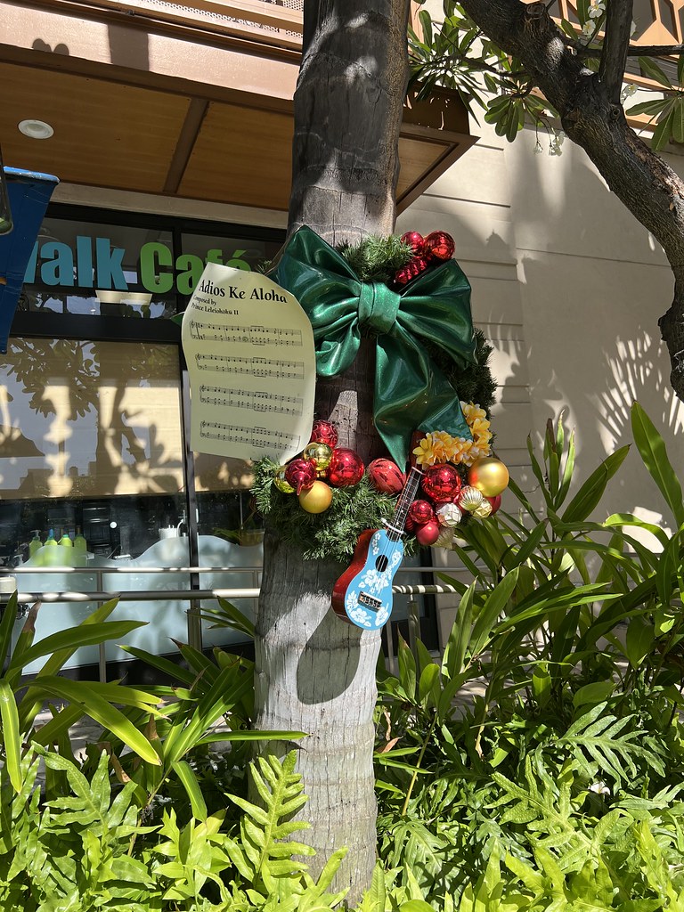 Adios Ke Aloha Christmas Decorations Oahu Larry Flickr