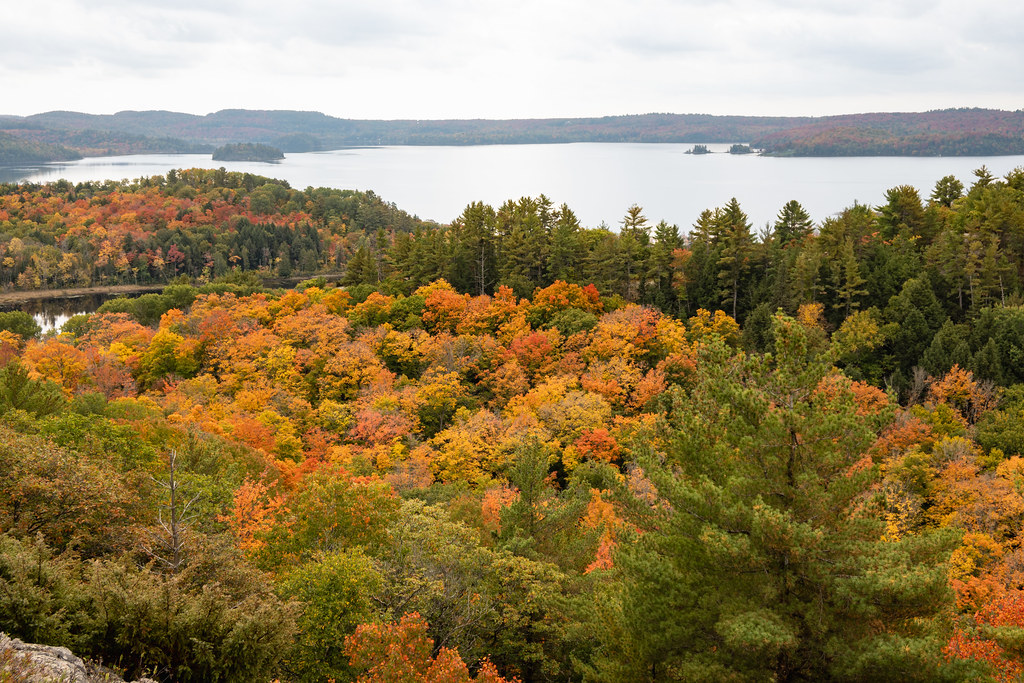 Rock Lake North Overlook Sep 30 2023116.jpg Renee Wysynski Flickr
