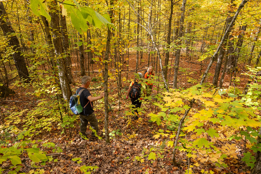 Rock Lake North Overlook Sep 30 2023146.jpg Renee Wysynski Flickr