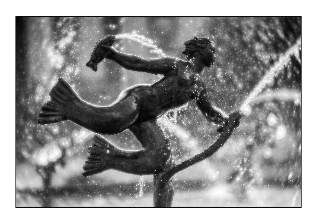 water nymph Shot with a Lensbaby Velvet 85, wide open. A B… Flickr