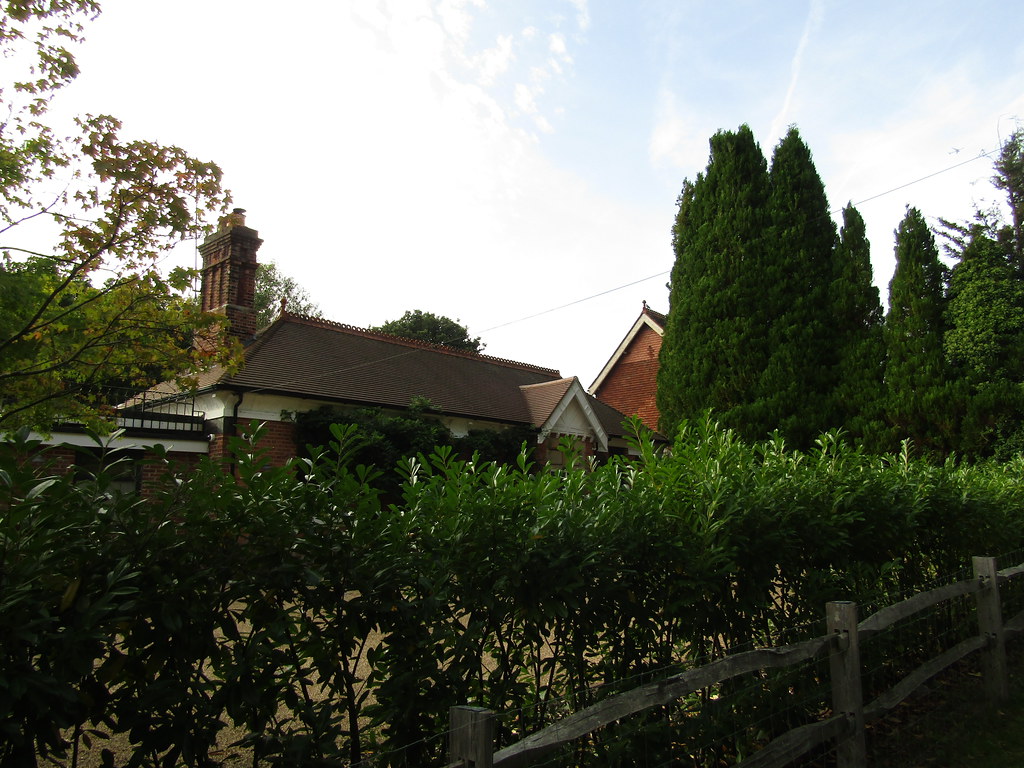 Rotherfield Station 7 Oct 23 (4) Tim Baker Flickr