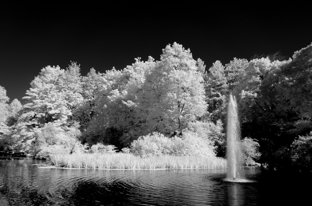 Crystal Springs_100823_01sm Jim Morris Flickr