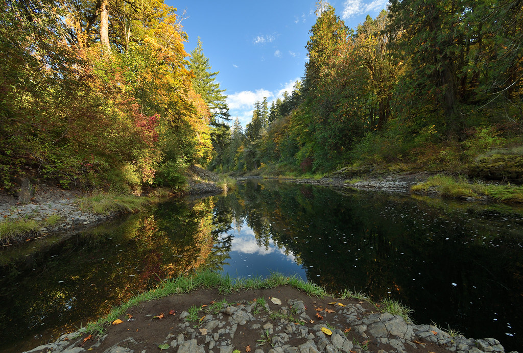 The Chehalis River Rainbow Falls State Park Washington Sta… Brian