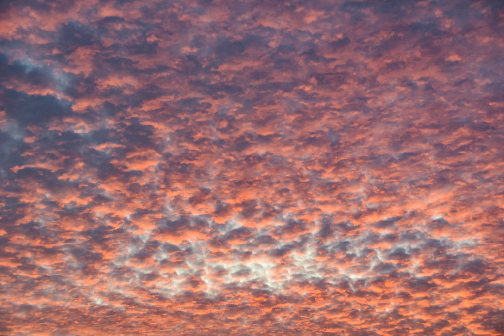 Mackerel Sky Taken at 18.40 above Bittaford in south Devon… Flickr