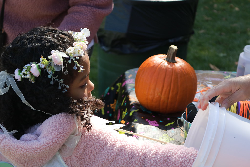 IMG_6758 Berwyn Park District Flickr