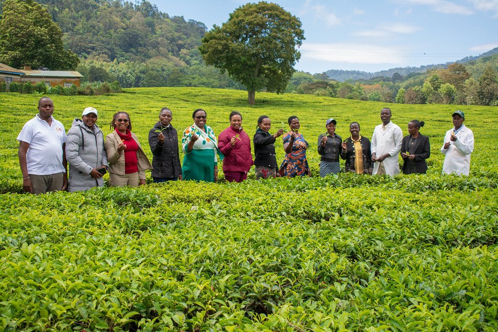 Women Win Michimikuru Tea Farm (Meru County) Women Win … Flickr