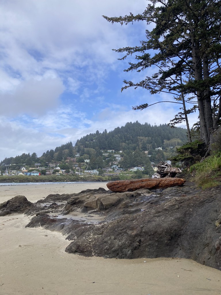 OR Yachats Yachats Ocean Road State Park scott185 (the original