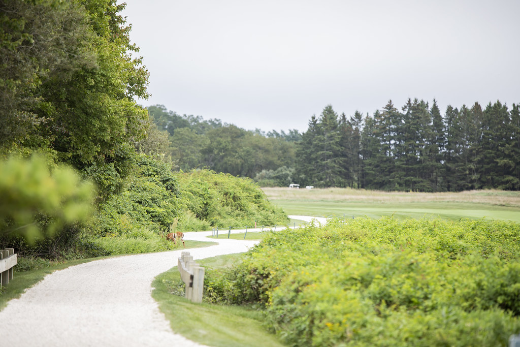 124 Aquidneck Land Trust Flickr