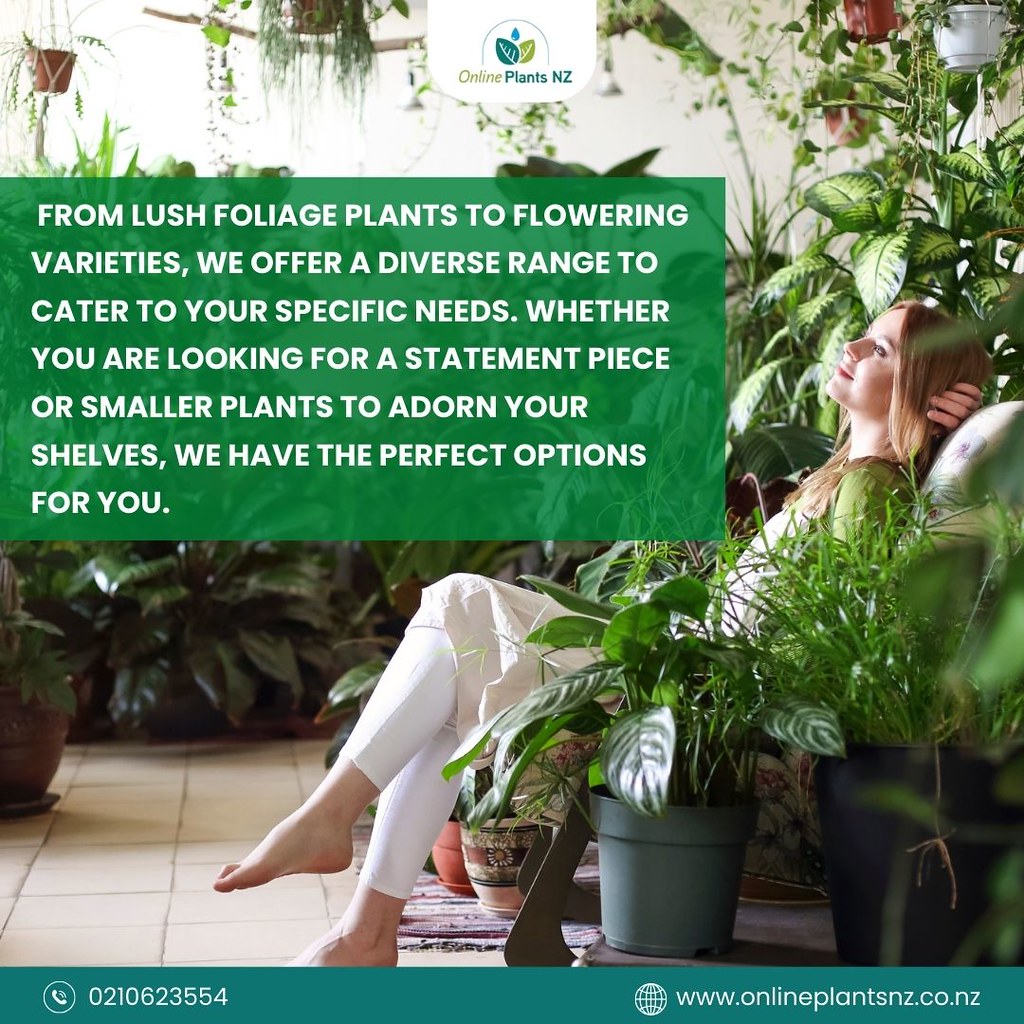 Buy Online Plants NZ's Largest Indoor Plants Online Pl… Flickr