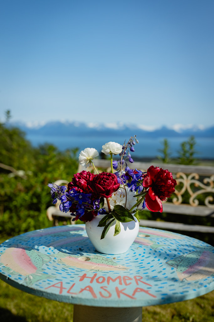 7Y0A6624 American Grown Flowers Flickr