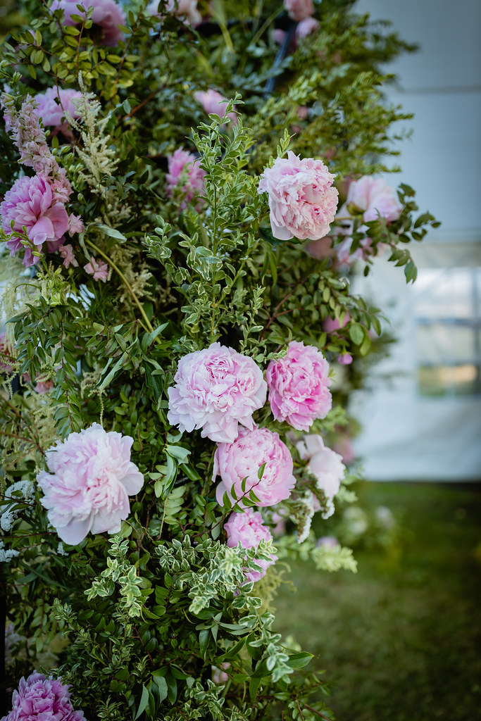 7Y0A7040 American Grown Flowers Flickr