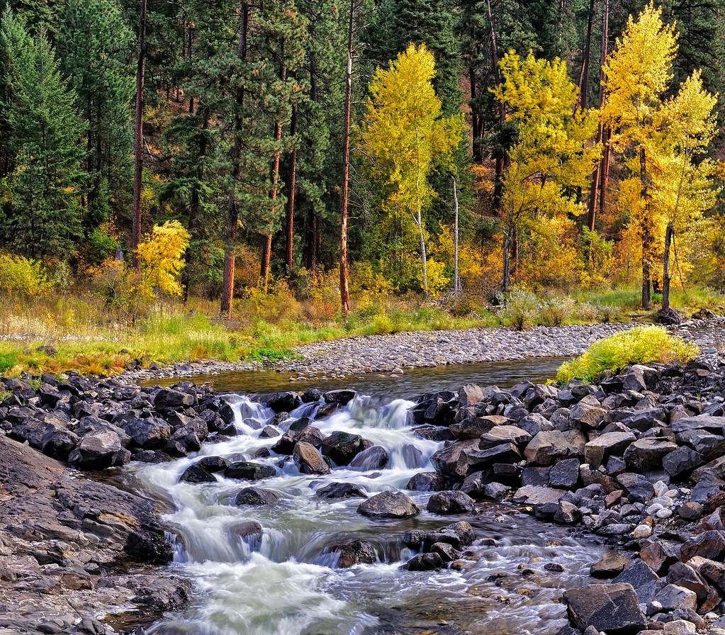 Little Salmon River Fall foliage along Idaho's Little Salm… Flickr