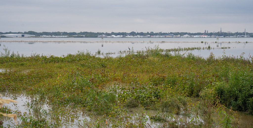 Cedar Point Causeway Wetland Project USACE Buffalo Distric… Flickr